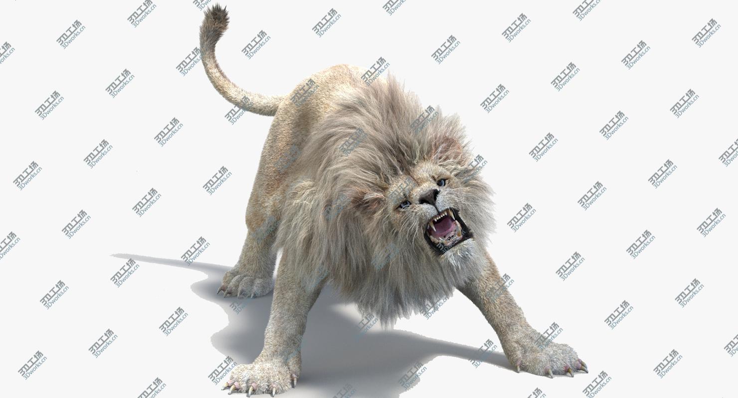 images/goods_img/202105072/3D model White Lion (2) (Fur)(Animated)/2.jpg